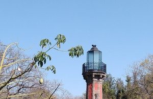 La Alameda, paraíso encantado de antaño