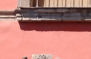 Un vergel escondido en cada trozo de cantera