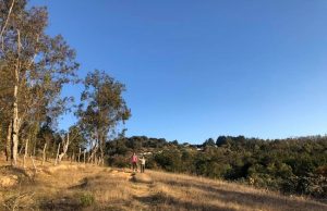 Sierra de Álvarez se convierte en nuevo atractivo turístico