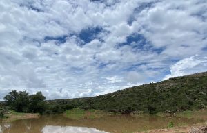 Reciente lluvia mejoró siembra de maíz y frijol, más de 150 mil hectáreas