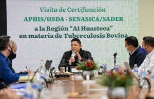 Inicia proceso de certificación de ganado en la Huasteca
