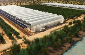 Auguran futuro para el campo con carrera de Ingeniería en Producción de Invernaderos