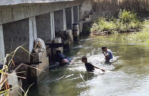 Coadyuva Gobierno a desmontar represas ilegales en “Río Gallinas”