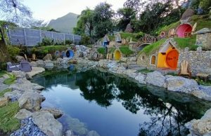 Hospedaje en «Nidos de pájaro» de la Huasteca al 85%