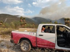 Colabora gobierno potosino con federación en acciones forestales