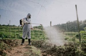 Guerra entre Rusia y Ucrania provoca alza en precios de fertilizantes