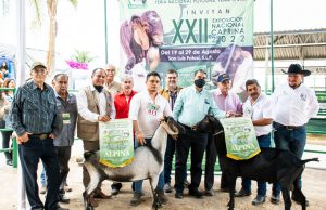 Reconocen a la Facultad de Agronomía como Mejor productor de raza Alpina