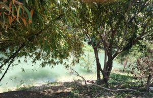 Evacúan visitantes del paraje turístico Micos debido al agua turbia