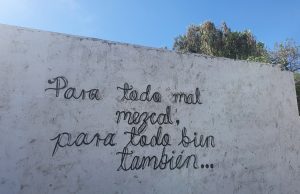 RAZONES PARA TOMARSE UN MEZCAL: