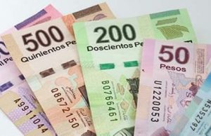Planear finanzas y recortar gastos superfluos, armas contra inflación: Economista