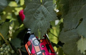 35 RESOLUCIONES A FAVOR DE LA VITIVINICOLA NACIONAL DEJA EL 43 CONGRESO MUNDIAL DE LA VIÑA Y EL VINO