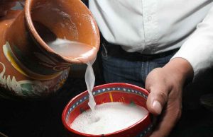 Morfologías del Pulque en San Luis Potosí
