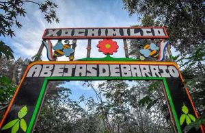 ¡EXPLORA XOXIMILCO Y DESCUBRE UN TESORO TURÍSTICO IMPRESIONANTE EN LA CIUDAD DE MÉXICO!