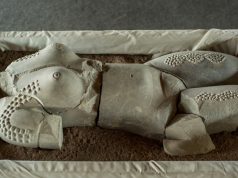 La venus de la Huasteca se pasea por Europa