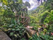 Jardín Escultórico Edward James, emprende iniciativas para apoyar economía local