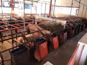 Aumentó el valor de la carne de porcino más de mil mdp en SLP