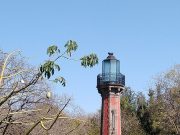 La Alameda, paraíso encantado de antaño
