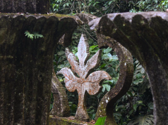 Presentan nueva experiencia surrealista en Xilitla