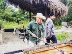 (GALERÍA) SLP, líder productor de caña para piloncillo