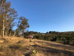 Sierra de Álvarez se convierte en nuevo atractivo turístico