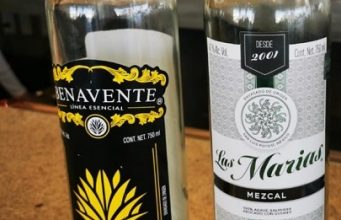 Las Marías y Benavente, mezcales potosinos reconocidos en certamen nacional
