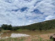 Reciente lluvia mejoró siembra de maíz y frijol, más de 150 mil hectáreas