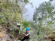 SECTUR promueve ruta de escalada a cerro de la silleta, en Xilitla