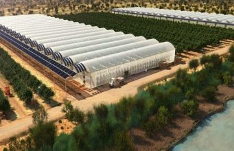 Auguran futuro para el campo con carrera de Ingeniería en Producción de Invernaderos