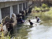 Coadyuva Gobierno a desmontar represas ilegales en “Río Gallinas”
