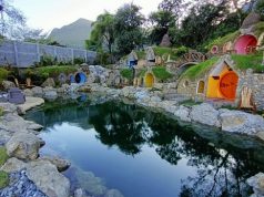 Hospedaje en «Nidos de pájaro» de la Huasteca al 85%