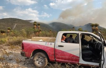Colabora gobierno potosino con federación en acciones forestales