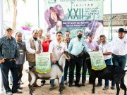 Reconocen a la Facultad de Agronomía como Mejor productor de raza Alpina