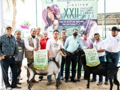 Reconocen a la Facultad de Agronomía como Mejor productor de raza Alpina