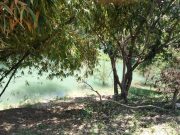 Evacúan visitantes del paraje turístico Micos debido al agua turbia