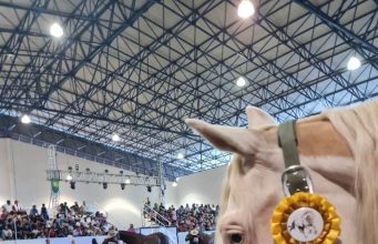 Muestra de caballos en Fenapo durante ésta última semana