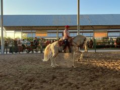 Espectáculos de caballos bailadores en la Expo Ganadera Fenapo