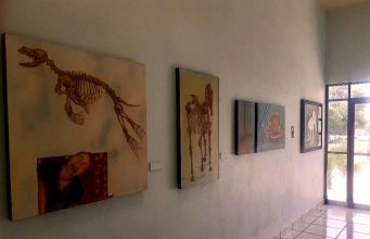EXPOSICIONES DE ARTES PLÁSTICAS EN MUNICIPIOS DE SAN LUIS POTOSÍ