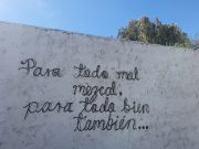 RAZONES PARA TOMARSE UN MEZCAL:
