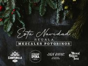 Regala mezcal esta Navidad… y si es de tierra potosina la magia nunca termina