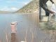 Se dará seguimiento al desarrollo de la siembra de cría de peces en cuerpos de agua en las zonas más áridas