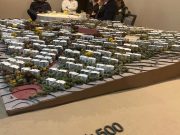 En Villa de Reyes se tendrá la primera Ciudad Verde en México