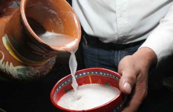 Morfologías del Pulque en San Luis Potosí