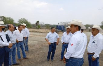 IMPULSA SEDARH VIVERO DE ÁRBOLES FRUTALES Y MADERABLES PARA REFORESTACIÓN