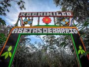 ¡EXPLORA XOXIMILCO Y DESCUBRE UN TESORO TURÍSTICO IMPRESIONANTE EN LA CIUDAD DE MÉXICO!