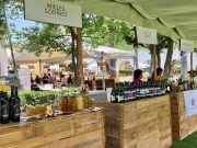 Villa de Reyes trasciende con su Marca Ciudad
