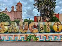 Saucito es reconocido como el 8vo barrio de San Luis Capital