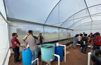 PROMUEVE GOBIERNO ESTATAL PRODUCCIÓN SUSTENTABLE DE PECES Y PLANTAS