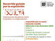 ANATOMIA OCULTA