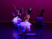 Descubre los Talleres de Danza del nuevo semestre en el IPBA.
