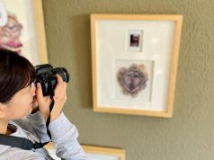 Revela tu creatividad con los cursos de Fotografía del IPBA.